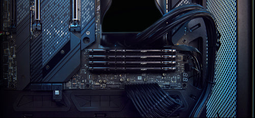 Kingston Technology FURY Beast 64GB 6000MT/s DDR5 CL36 DIMM (Kit of 2) Black EXPO Kingston Technology FURY Beast 64GB 6000MT/s DDR5 CL36 DIMM (Kit of 2) Black EXPO